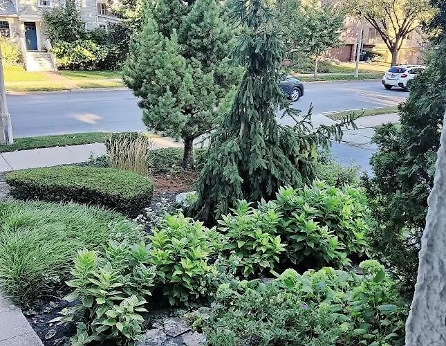 Historic Oak Park